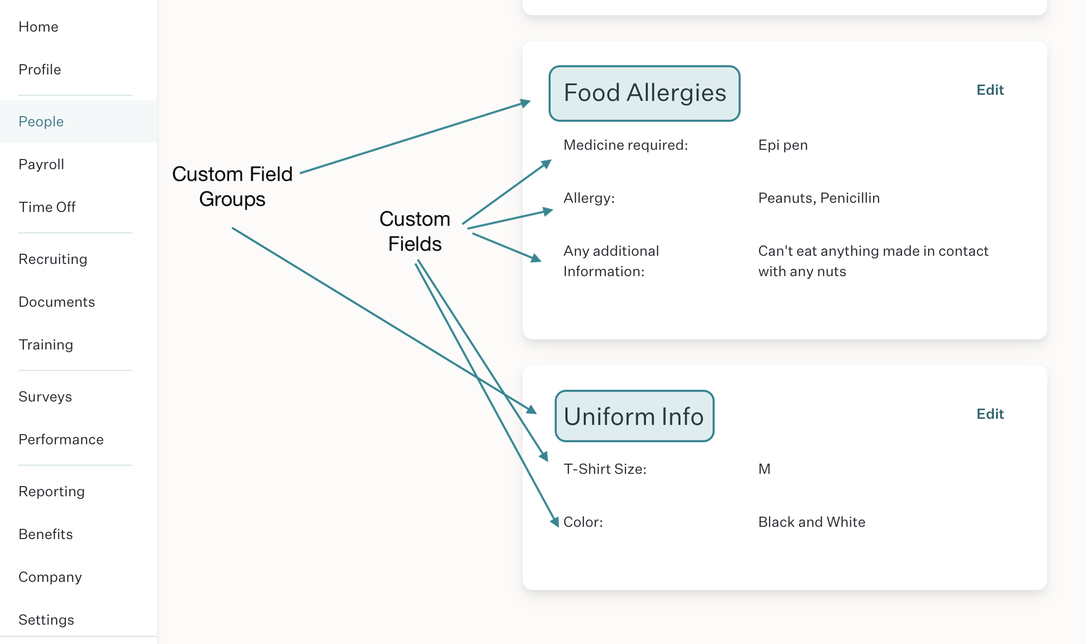 custom-fields-groups.png